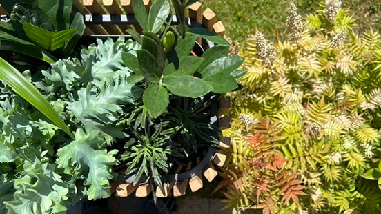 Samløs. Afskærmende plantekasser i teak